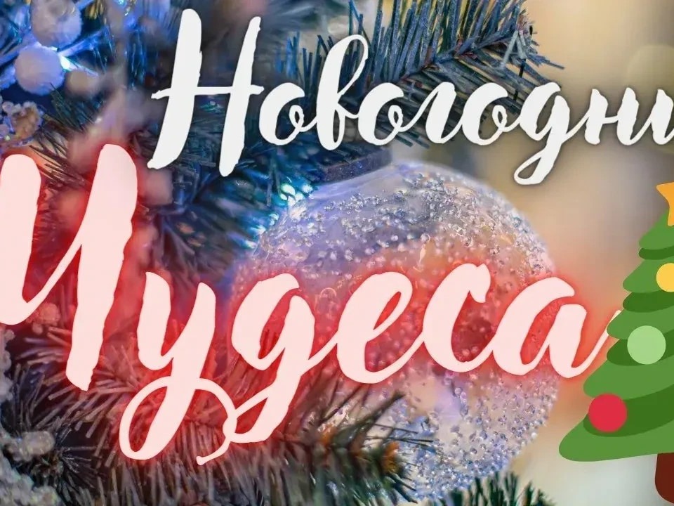 «Новогодние чудеса».